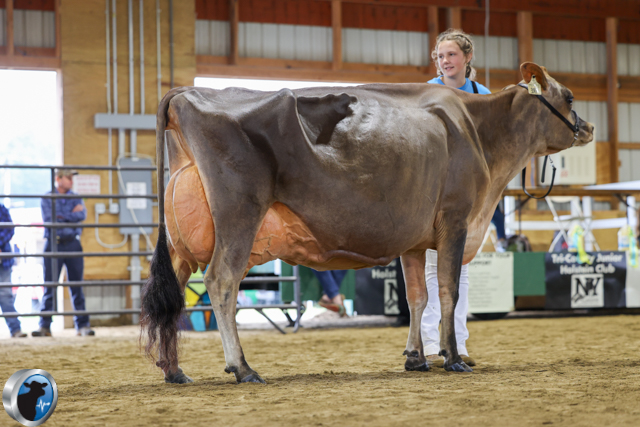 ENYJersey2025 reserve grand jr show