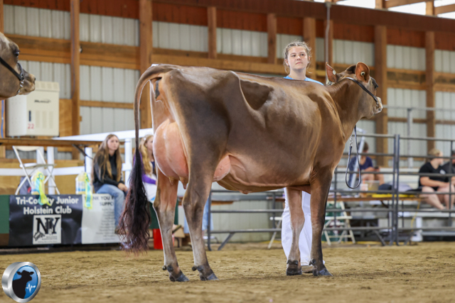 ENYJersey2025 honorable mention jr show